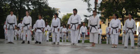 Brown and black belts
